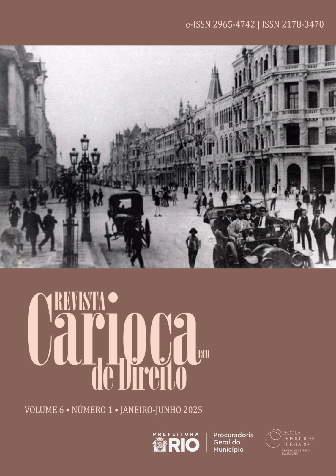 Visualizar v. 6 n. 1 (2025): Revista Carioca de Direito